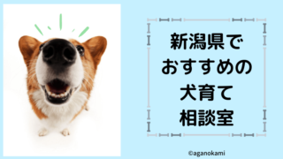新潟県でおすすめの犬の相談室