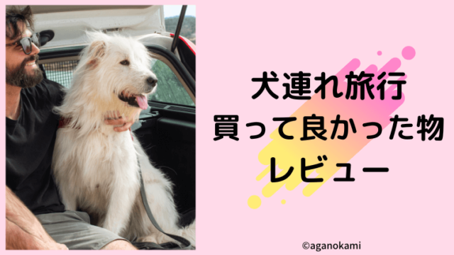 犬連れ車旅行やドライブを安全快適にするアイテム６選レポ 宿泊クーポンあり あがの犬暮らしincanada