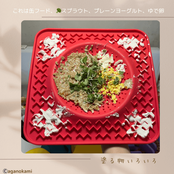 リックマットのレシピ
