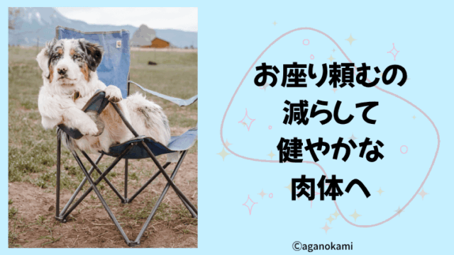 犬のしつけのお座りの問題点と危険性