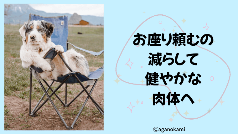 犬のしつけのお座りの問題点と危険性