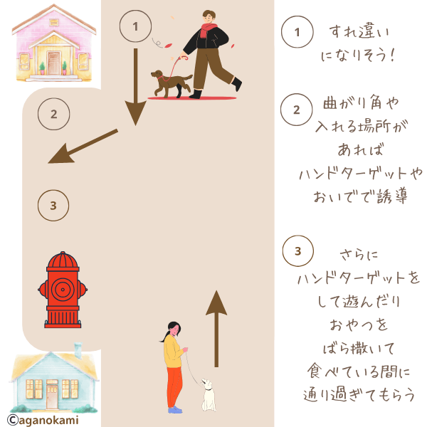 犬の散歩ですれ違いをするやり方