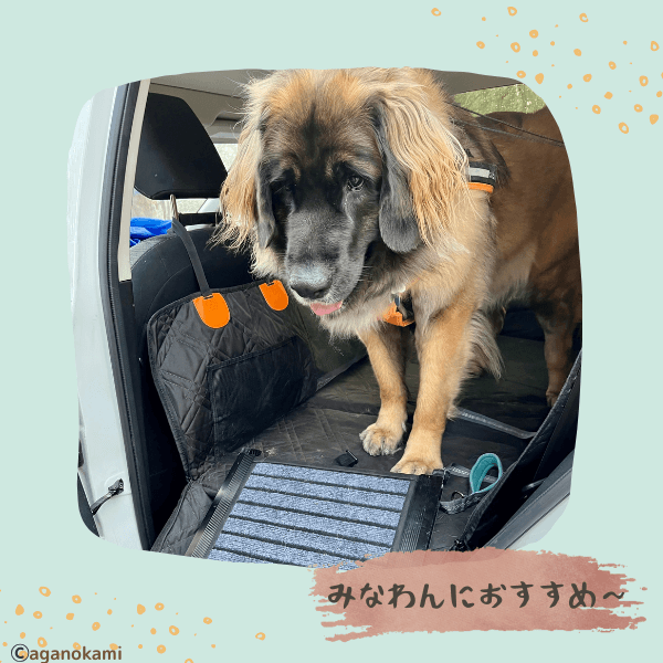 車とスロープとレオンベルガー