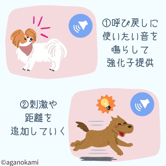 犬の呼び戻し音のトレーニング方法