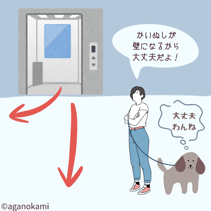 犬とエレベーターマナー