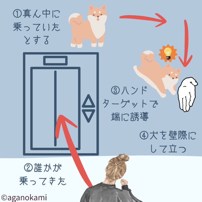 犬とエレベーターマナー