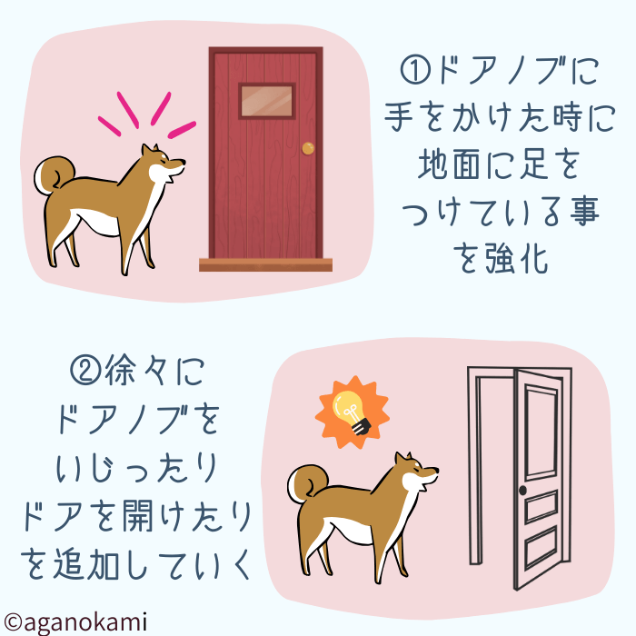 犬のドアマナーの教え方