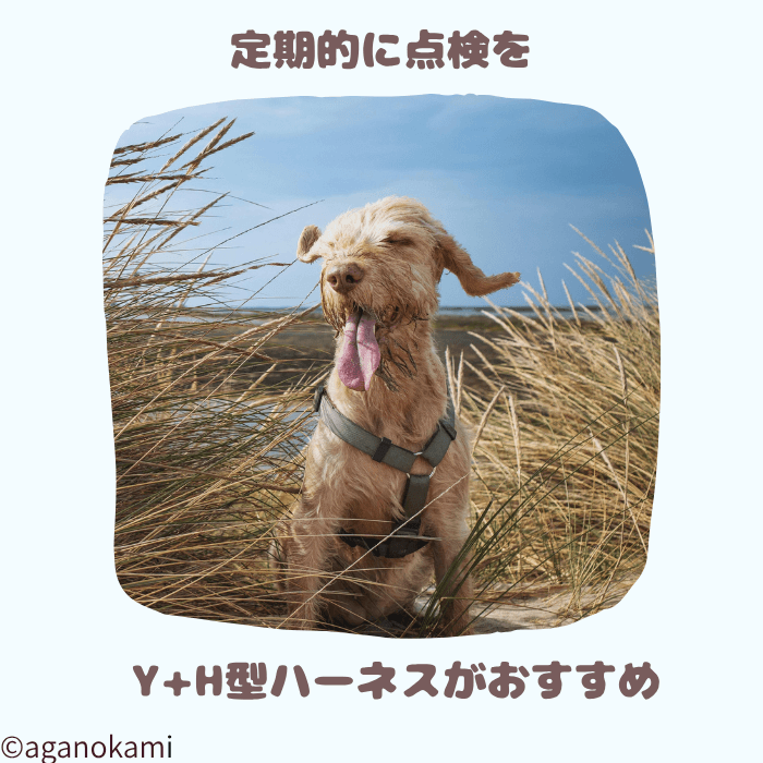 抜けにくいハーネスにしよう