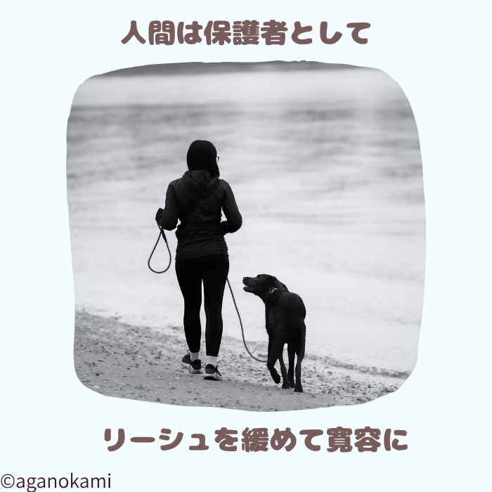 リードを緩めてハーネス抜けを防ごう