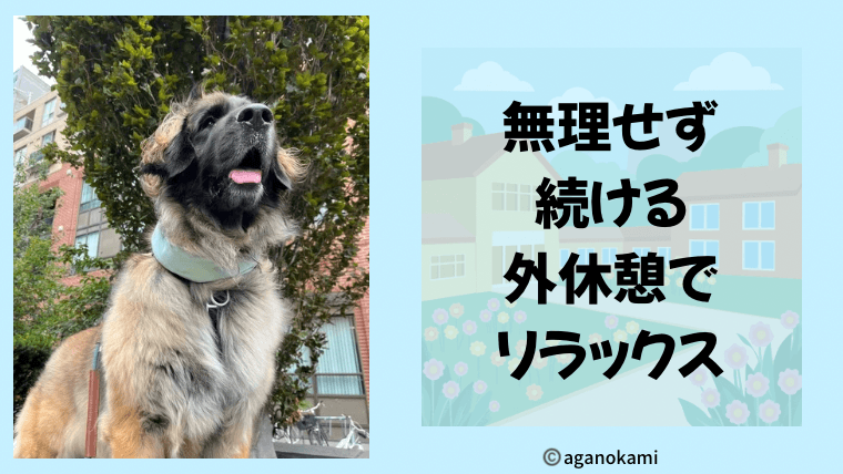 何もしないトレーニングは頑張らない