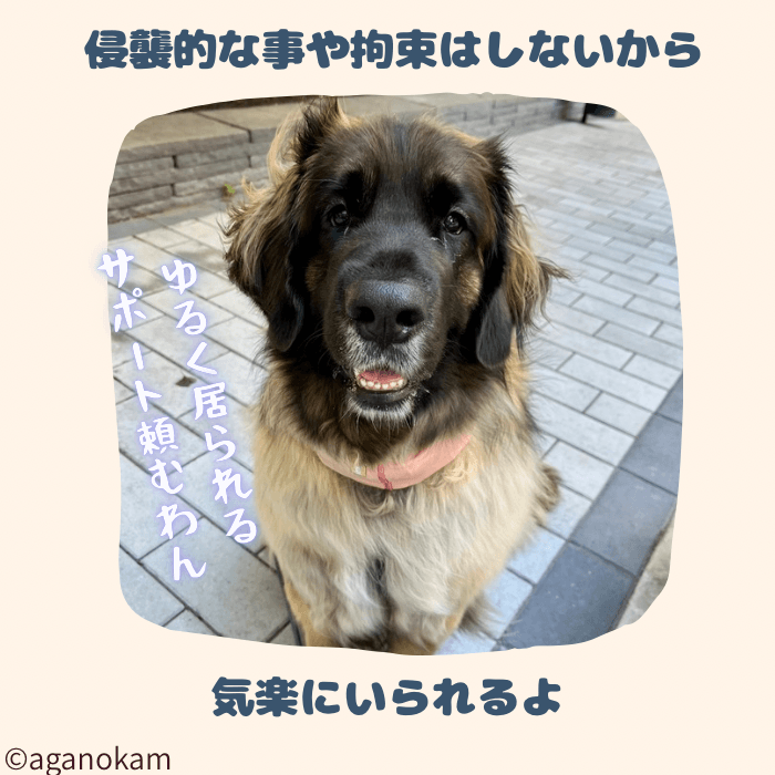 トレーニングで侵襲的な事はしない