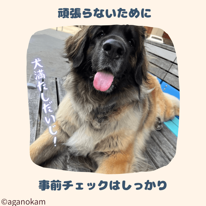 叱らないトレーニングでは事前チェックが大事