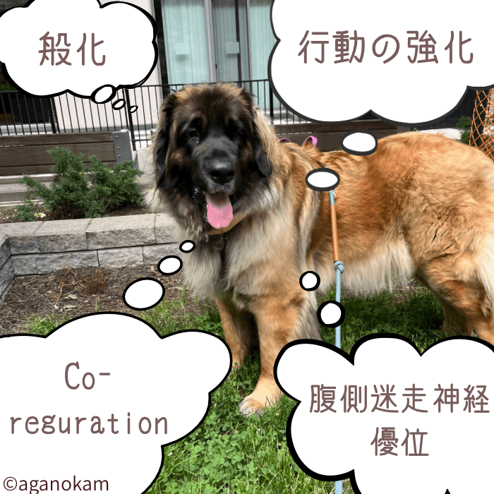 叱らないトレーニングで起きている事